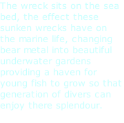 The wreck sits on the sea bed, the effect these sunken wrecks have on the marine life, changing bear metal into beautiful underwater gardens providing a haven for young fish to grow so that generation of divers can enjoy there splendour.